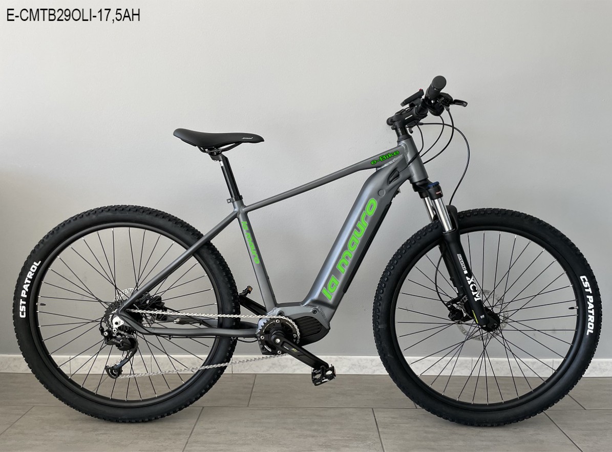 E-MTB 29" OLI 17,5, E-Bike, E-City, Bici elettrica, Bici Elettriche, Bicicletta a pedalata assistita